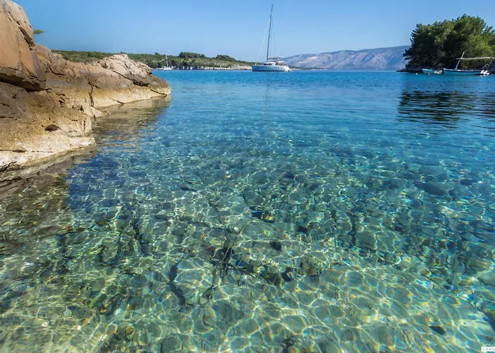 Villa Erica Hvar